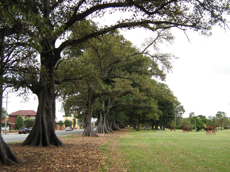 Islington Park, Newcastle